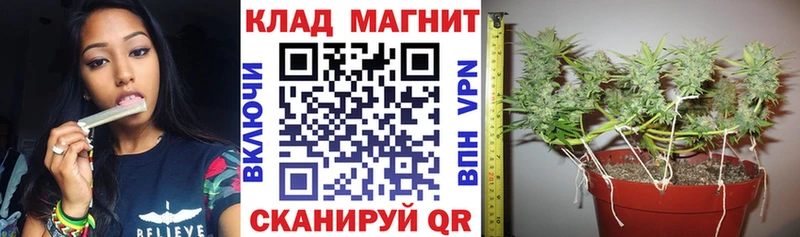Купить закладку Конопля Кодеин АМФ Гашиш COCAIN Меф Дальнегорск