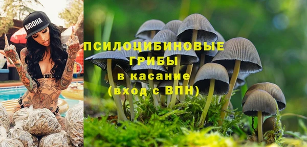 прущая мука Зерноград
