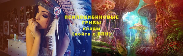 твердый Инта