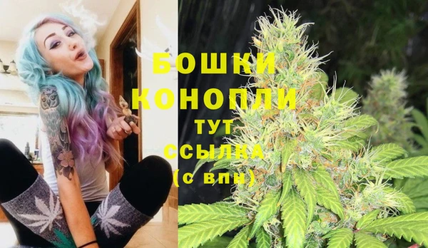 твердый Инта